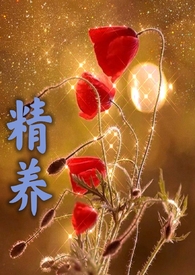 旧衣服哪个回收平台比较好